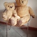 Old Teddies and Chair by salza