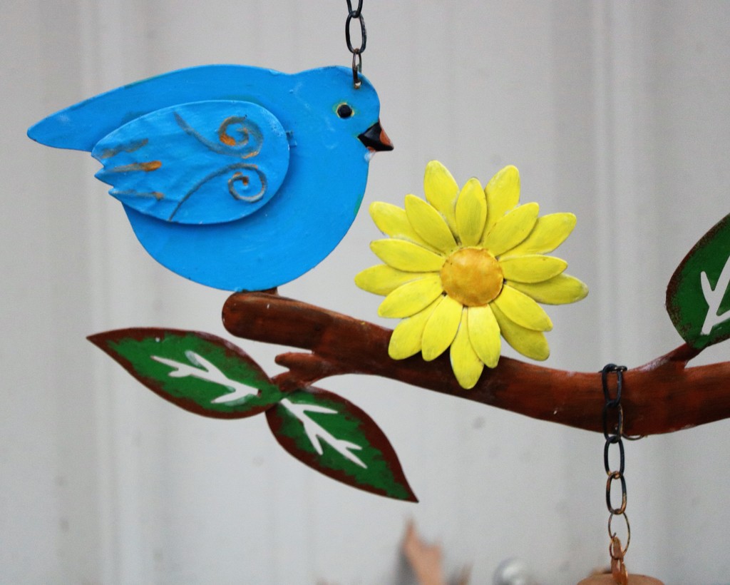 March 26: Blue Bird by daisymiller