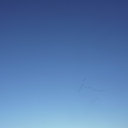 26th Mar 2021 - Blue Sky, with Geese