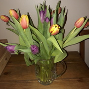 26th Mar 2021 - Tulips