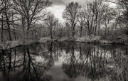 26th Mar 2021 - Surface Water Run-Off Pond...