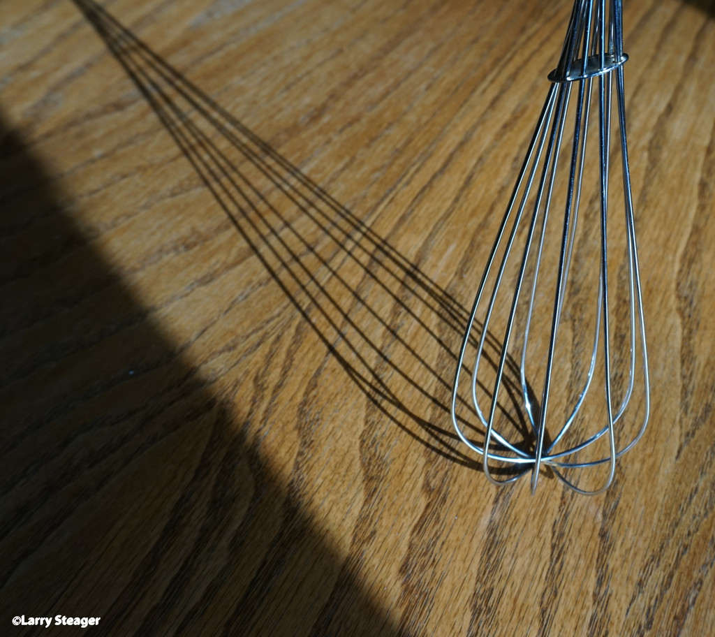 Whisk of a shadow by larrysphotos