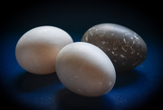 27th Mar 2021 - Duck Eggs