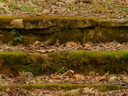 27th Mar 2021 - mossy stone steps
