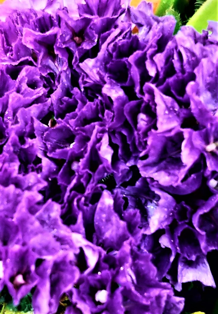 Purple Flower Filler by jo38