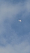 29th Mar 2021 - Half of a moon...