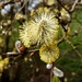 Spring is here...  by peadar