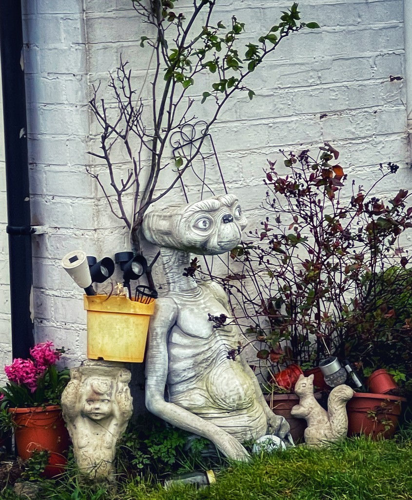 Front garden ornaments by tinley23