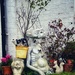 Front garden ornaments by tinley23