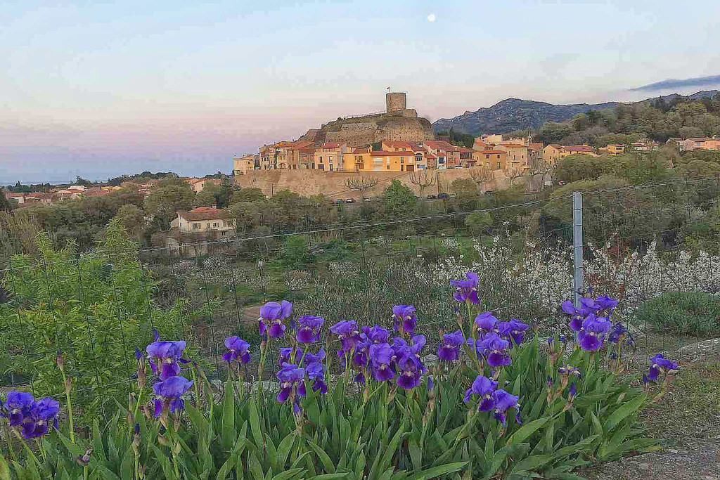 Laroque le Château & irises by laroque