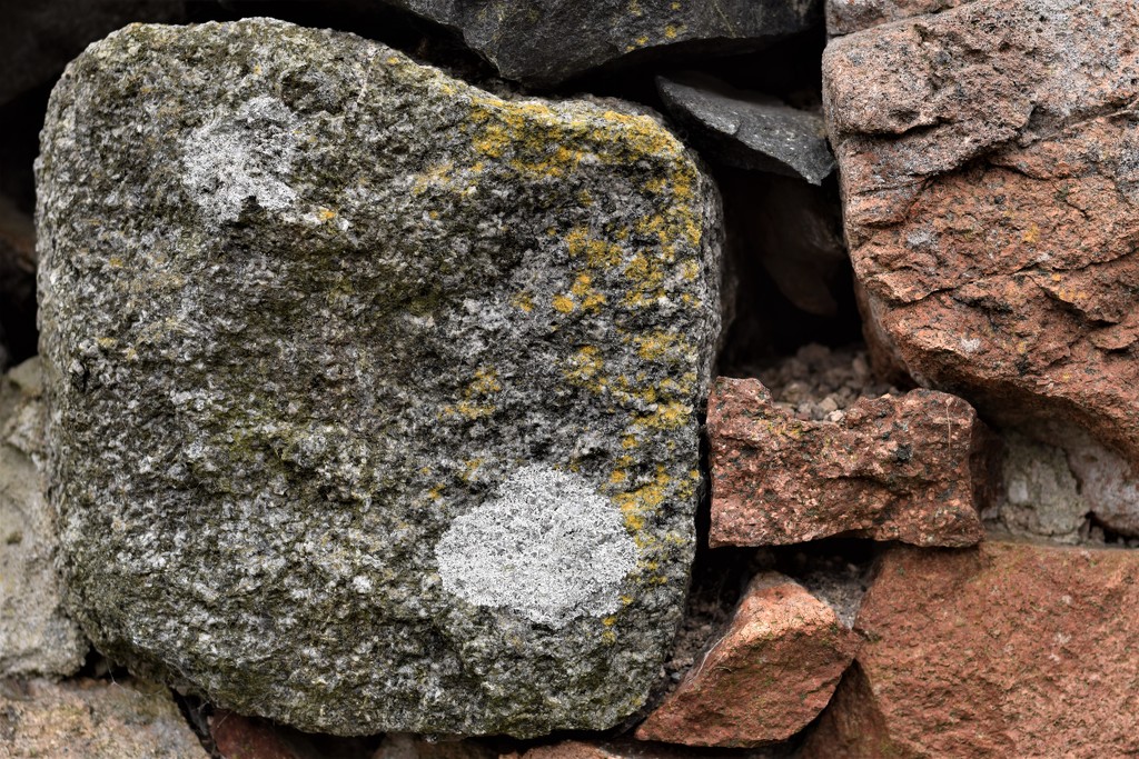 stone and lichen by christophercox