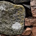 stone and lichen by christophercox