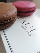 22nd Mar 2019 - First macarons from Paul