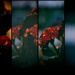 Floral Panels by manek43509