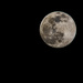 Full Moon by cwbill