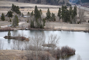 28th Mar 2021 - Beavertail Park Pond