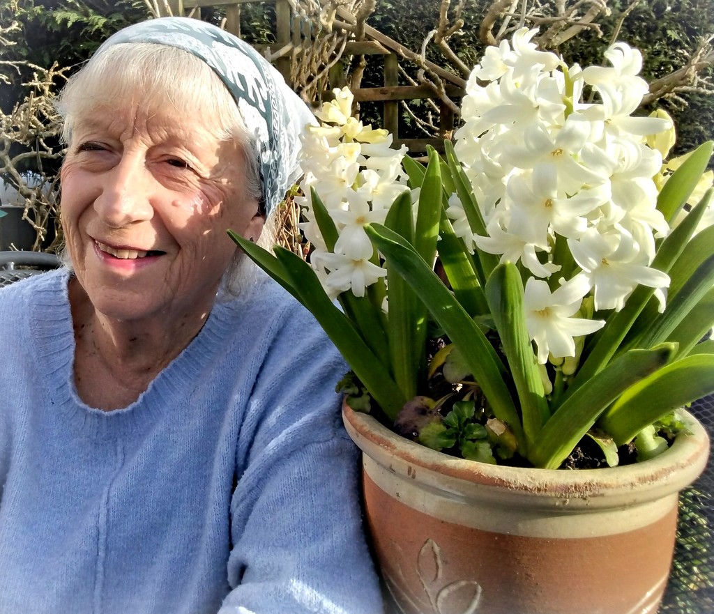winter sunshine and white hyacinths by quietpurplehaze