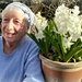 winter sunshine and white hyacinths by quietpurplehaze