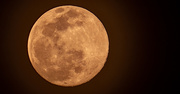 28th Mar 2021 - Last Night's Moon!