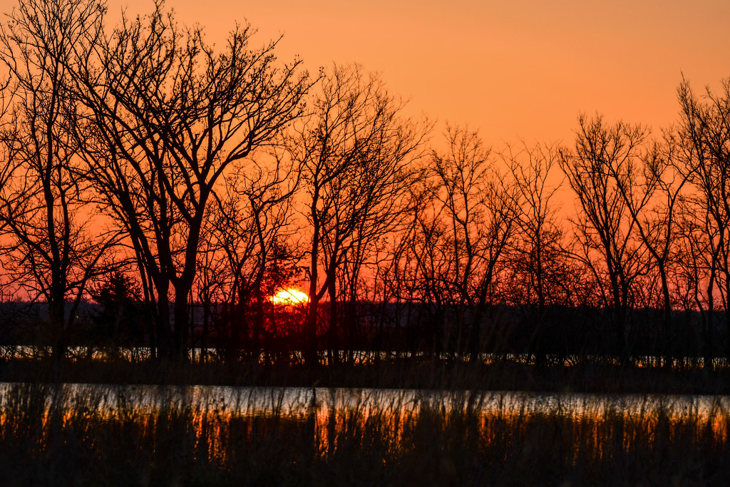 Baker Wetlands Sunrise by kareenking