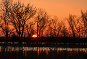 28th Mar 2021 - Baker Wetlands Sunrise