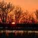 Baker Wetlands Sunrise by kareenking
