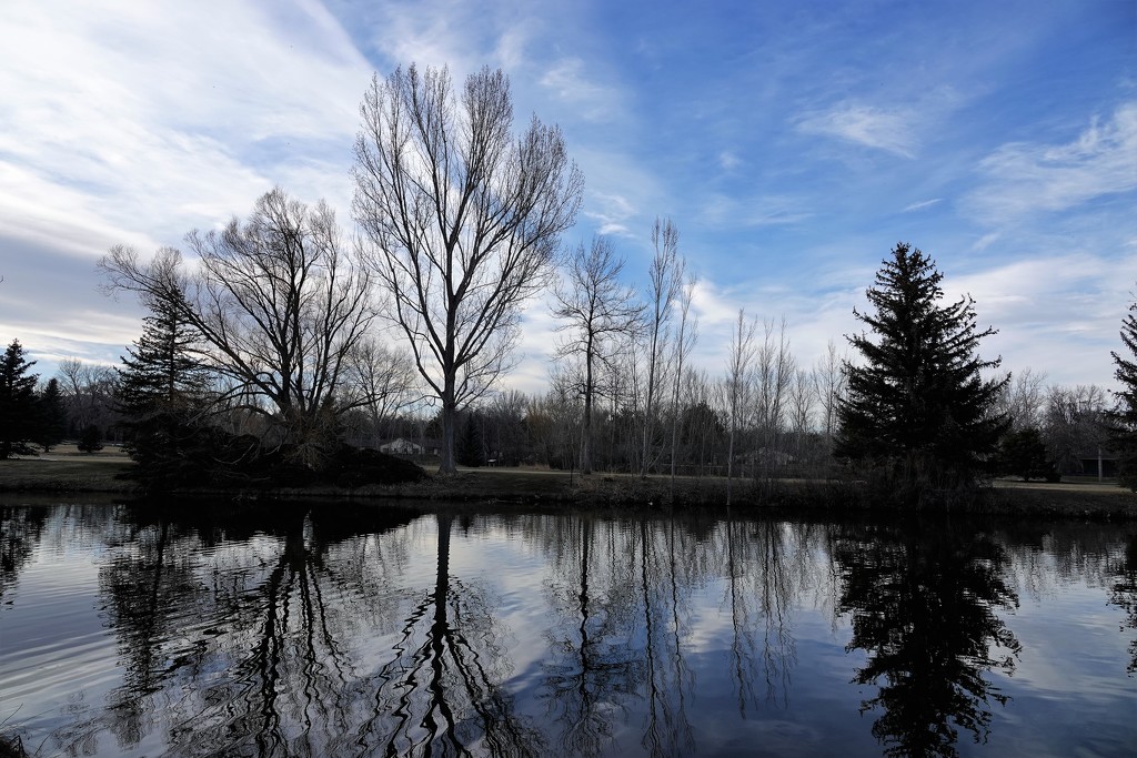 Pond at Rolland Moore Park by sandlily