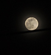 29th Mar 2021 - Moon on a Wire 