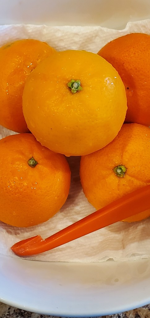 Mandarin Oranges  by skipt07