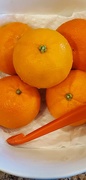 28th Mar 2021 - Mandarin Oranges 