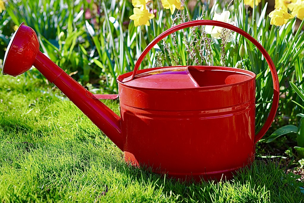 Red Watering Can by carole_sandford