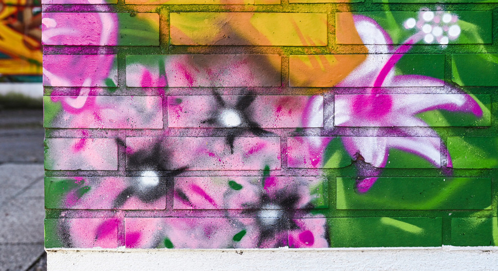 Pink Street Art by toinette