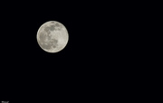 29th Mar 2021 - Yesterday's moon