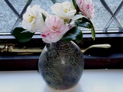 29th Mar 2021 - Camellia flowers
