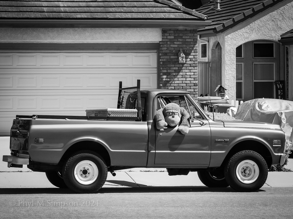 King K Hitching a Ride...  by elatedpixie