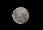 28th Mar 2021 - Last night's full moon