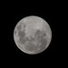 Last night's full moon by gilbertwood