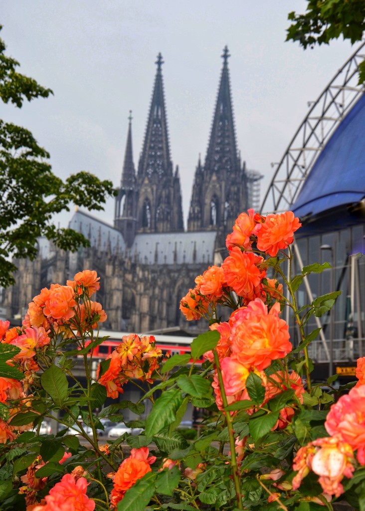 The Cologne Cathedral by louannwarren