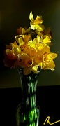 30th Mar 2021 - A Bouquet of Sunshine 