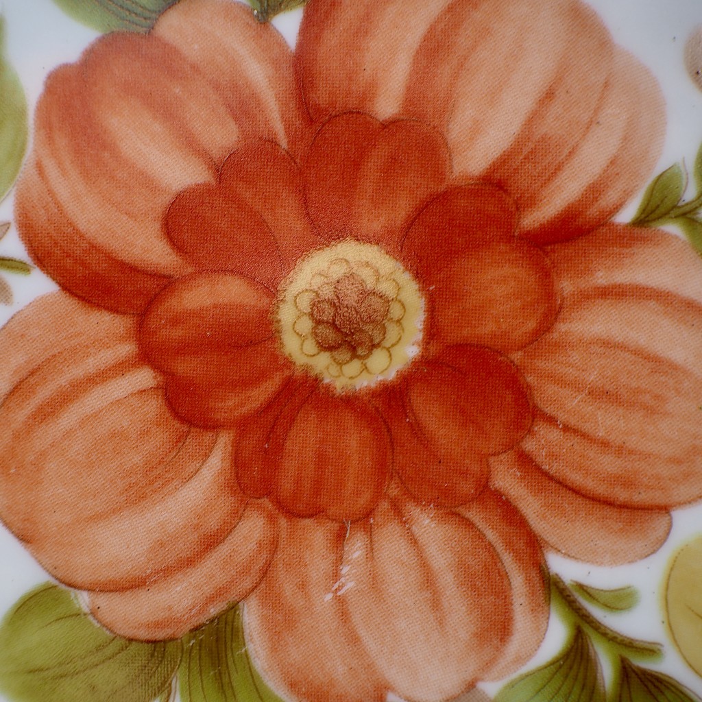 Plate with orange flower by jacqbb