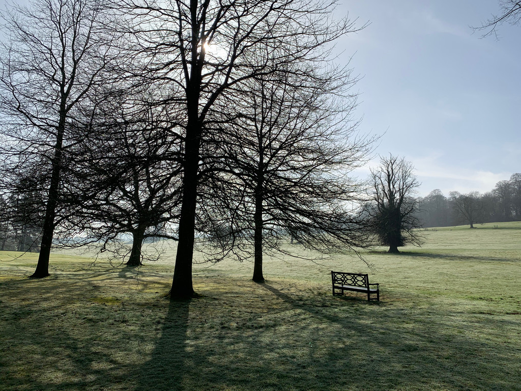 Misty morning at Kedleston Hall by 365projectmaxine