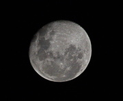 30th Mar 2021 - The Moon