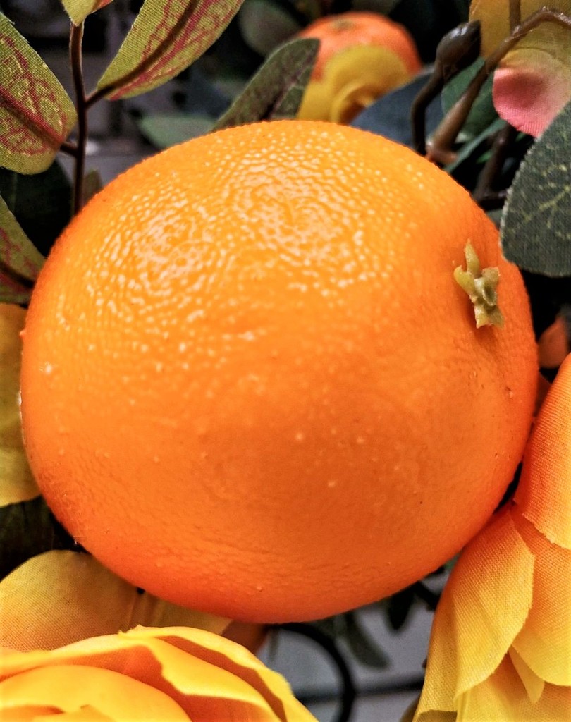 Orange Orange by jo38