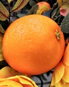 30th Mar 2021 - Orange Orange