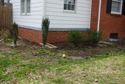 31st Mar 2021 - In Need of Landscaping Help