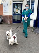 31st Mar 2021 - Escape from the vets