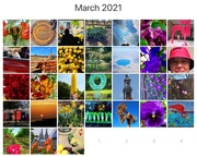 31st Mar 2021 - Rainbow month 2021