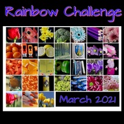 31st Mar 2021 - Rainbow Challenge 2021 Calendar 