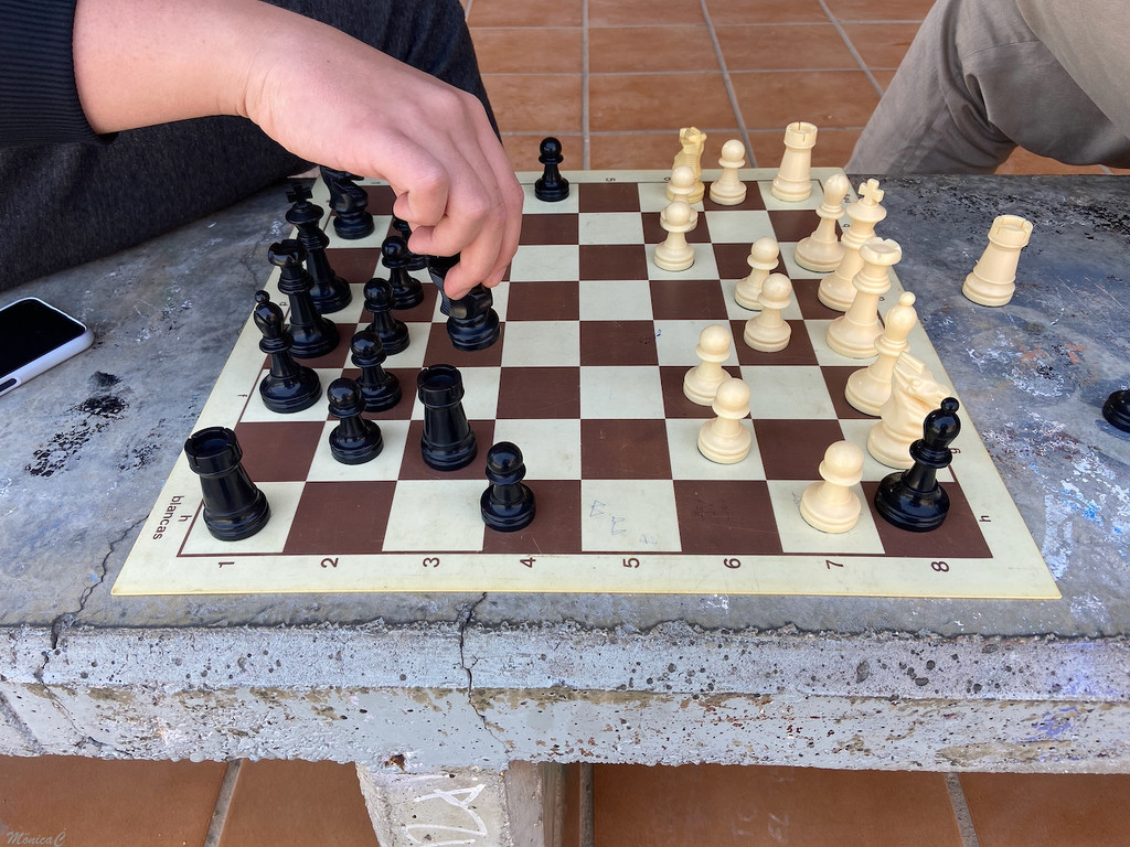 Chess by monicac