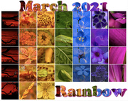 1st Apr 2021 - all the colours of the rainbow